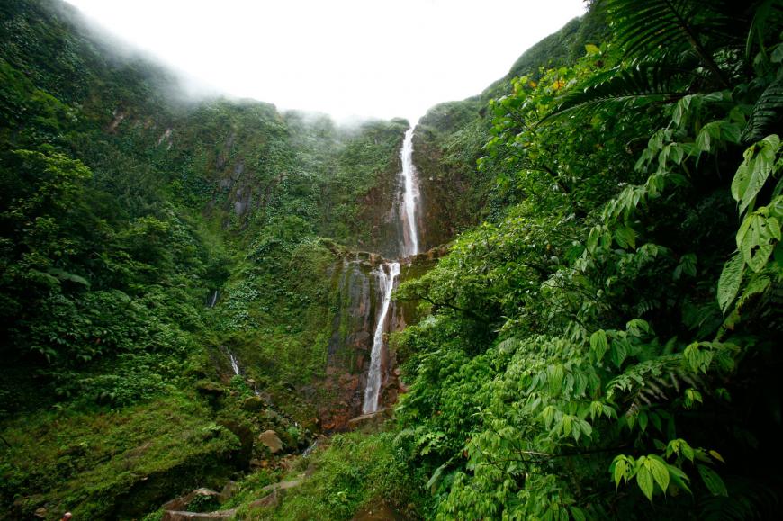 Chute du Carbet