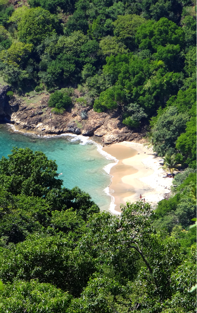 La Desirade - The Ferry - Picture of La Désirade, Guadeloupe - Tripadvisor