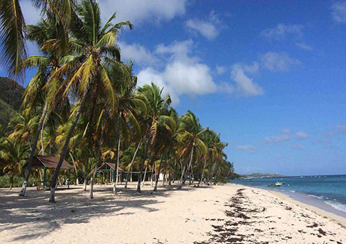 Plage Petite Rivière